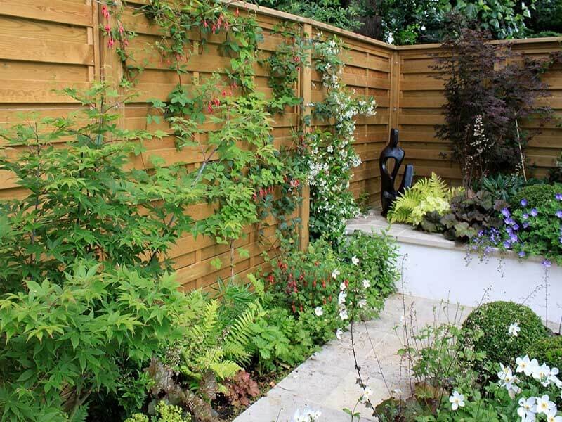 Fencing with Climbing Plants