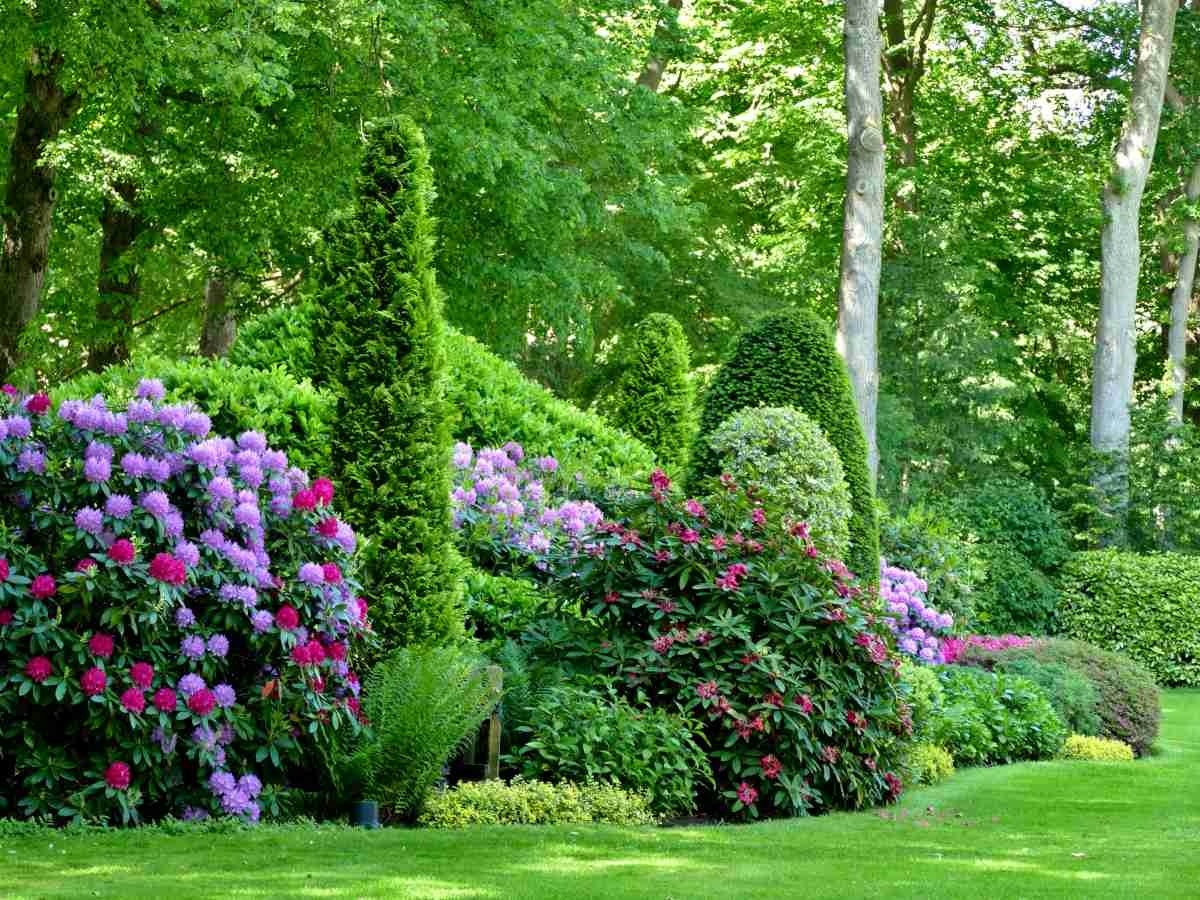 Mixed Border Planting