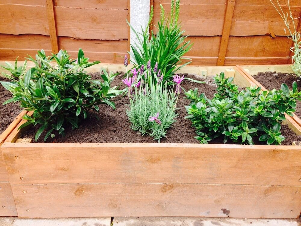 Raised Flower Bed Design