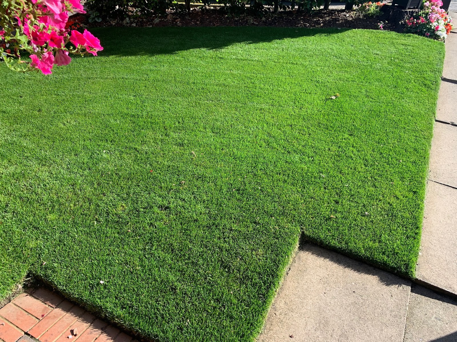 Freshly Turfed Lawn