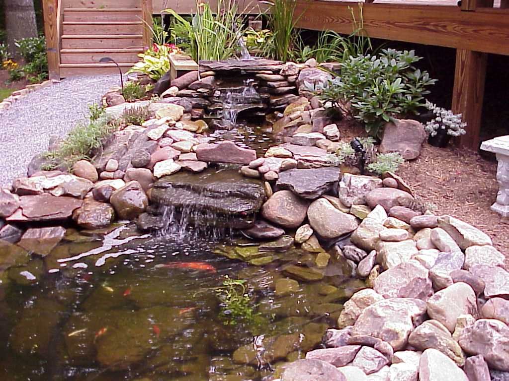 Water Feature & Pond