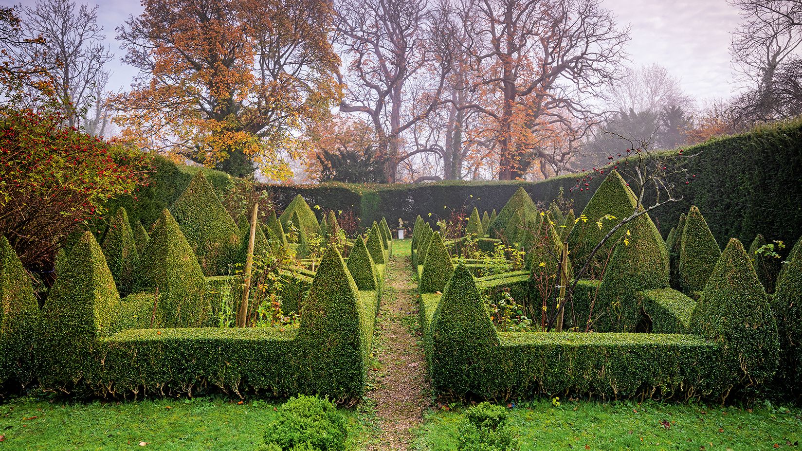 Hedge Trimming & Tree Removal