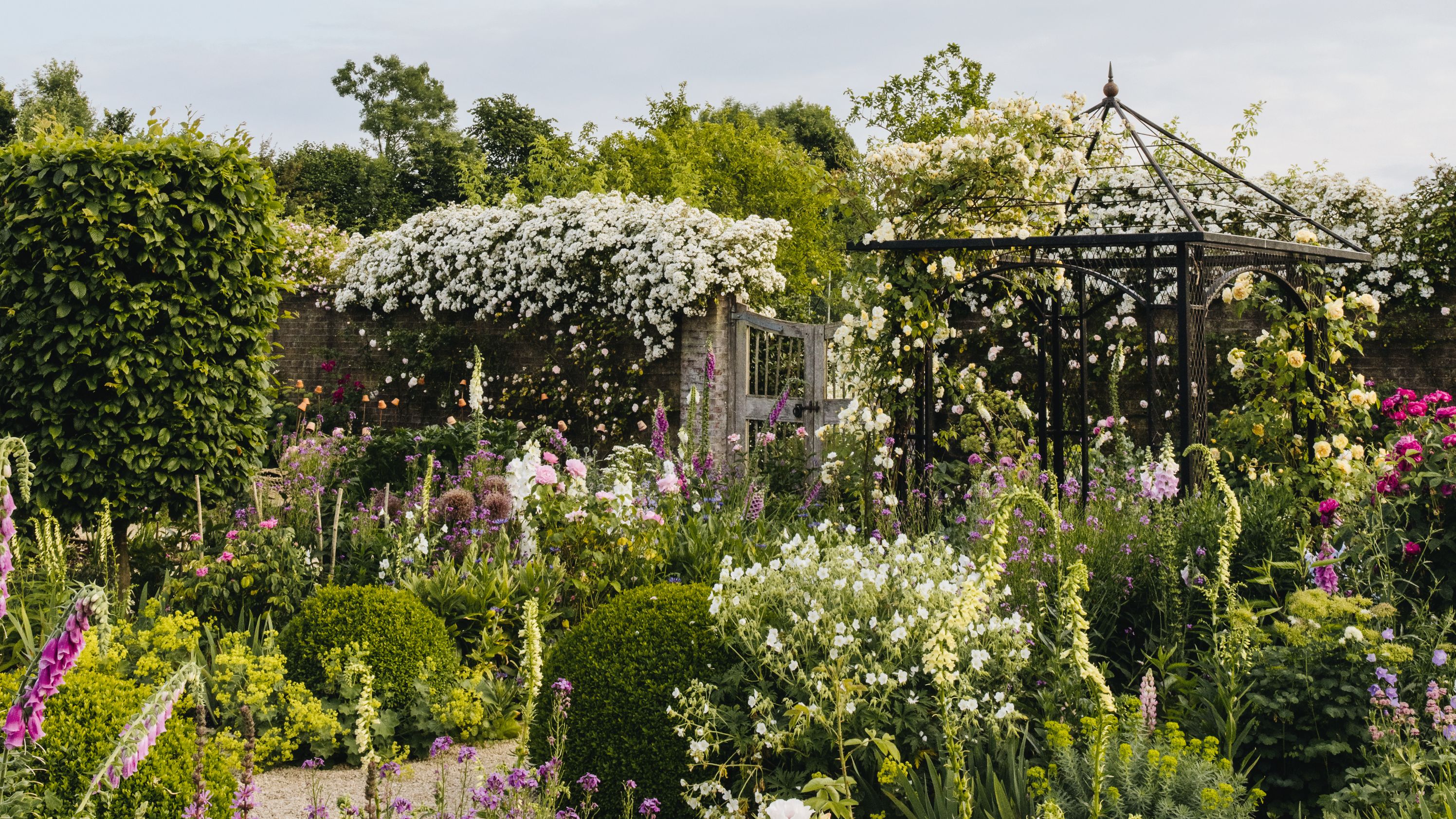 Garden Makeover & Maintenance